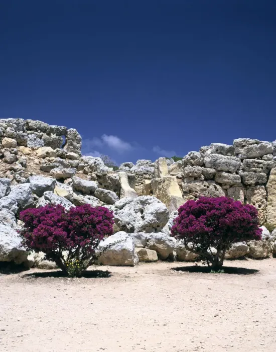 Framed Print : A megalithic temple complex, Ggantija, Gozo, Malta, 20th century Framed Print : A megalithic temple complex, Ggantija, Gozo, Malta, 20th century