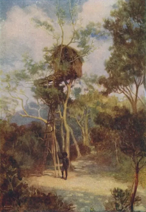 Framed Print : Melanesian Tree-House, 1924 Framed Print : Melanesian Tree-House, 1924