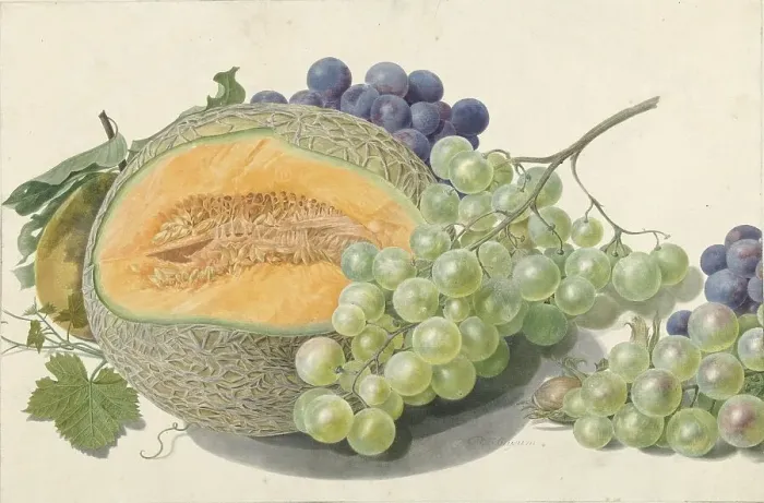 Framed Print : A Melon, Bunches of Grapes, a Peach and Hazelnuts, 1714-1760. Creator: Michiel van Huysum Framed Print : A Melon, Bunches of Grapes, a Peach and Hazelnuts, 1714-1760. Creator: Michiel van Huysum