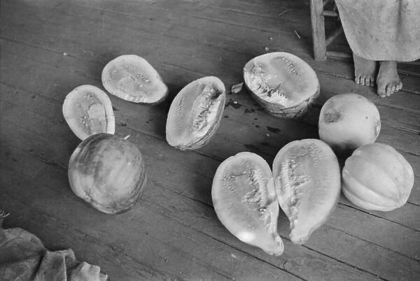 Melons on Frank Tengles porch. Hale County, Alabama, 1936. Creator: Walker Evans