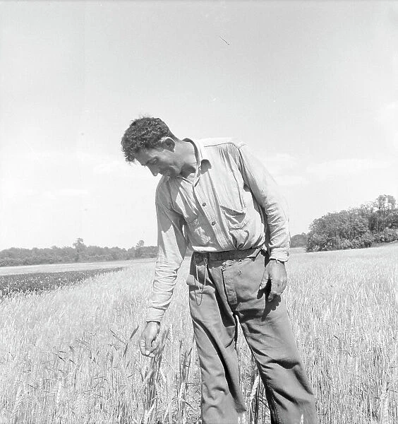 Member of the farming group on the project - Polish-Jewish born, Hightstown, New Jersey, 1936. Creator: Dorothea Lange