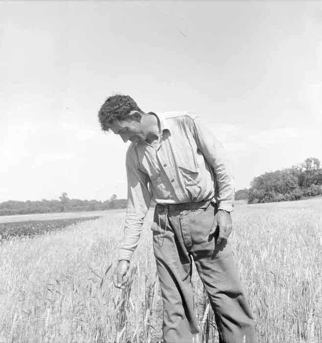 Framed Print : Member of the farming group on the project - Polish-Jewish born, Hightstown, New Jersey, 1936. Creator: Dorothea Lange Framed Print : Member of the farming group on the project - Polish-Jewish born, Hightstown, New Jersey, 1936. Creator: Dorothea Lange
