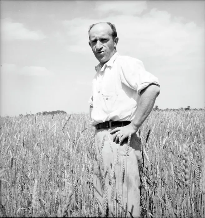 Framed Print : Member of the Hightstown farm group says: Who says Jews can't farm? Hightstown, New Jersey, 1936. Creator: Dorothea Lange. Member of the Hightstown farm group says: Who says Jews can't farm? Hightstown, New Jersey, 1936 Framed Print : Member of the Hightstown farm group says: Who says Jews can't farm? Hightstown, New Jersey, 1936. Creator: Dorothea Lange. Member of the Hightstown farm group says: Who says Jews can't farm? Hightstown, New Jersey, 1936