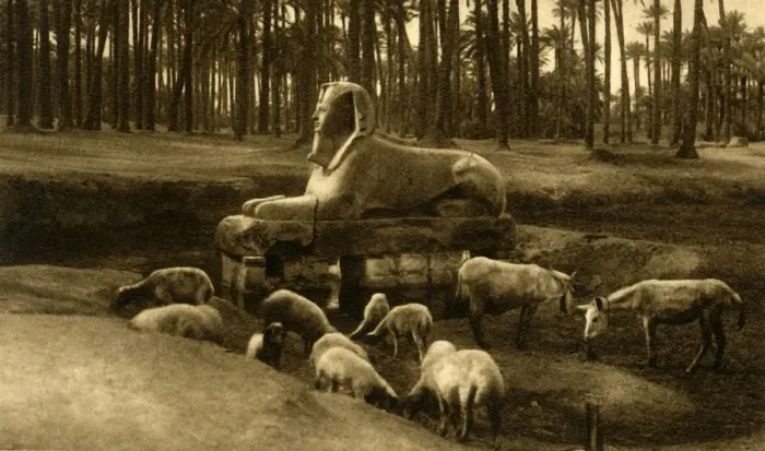 Framed Print : Memphis - The Alabaster Sphinx, c1918-c1939. Creator: Unknown Framed Print : Memphis - The Alabaster Sphinx, c1918-c1939. Creator: Unknown
