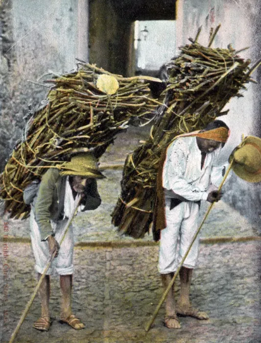 Framed Print : Two men carrying bundles of wood on their backs, Mexico, early 20th century Framed Print : Two men carrying bundles of wood on their backs, Mexico, early 20th century