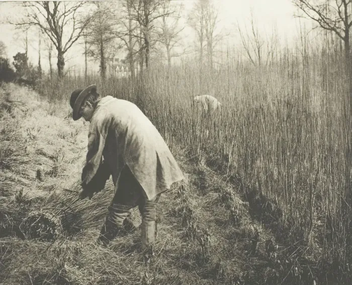 Framed Print : Men cutting rushes, 1892. Creator: James Leon Williams Framed Print : Men cutting rushes, 1892. Creator: James Leon Williams