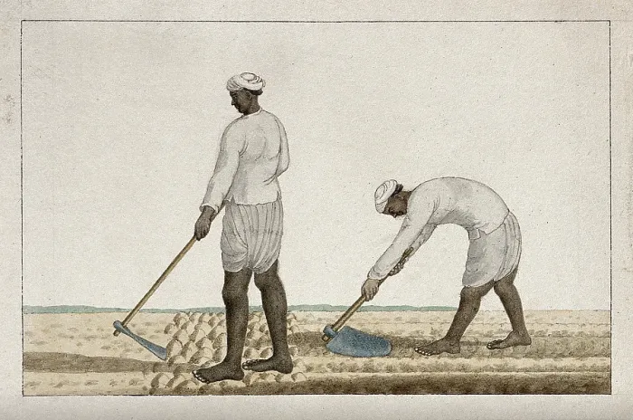 Framed Print : Two men digging the earth with spades, (between 1800 and 1899?). Creator: Unknown Framed Print : Two men digging the earth with spades, (between 1800 and 1899?). Creator: Unknown