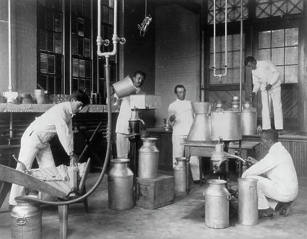 Five men making butter in a class at Hampton Institute, Hampton, Va. 1899 or 1900. Creator: Frances Benjamin Johnston