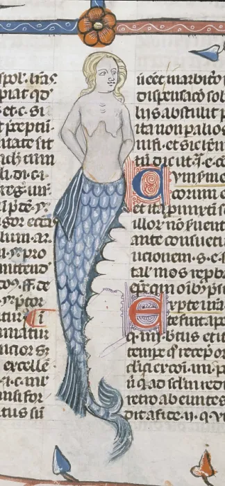 Framed Print : A mermaid, 1300-1340. Creator: Unknown Framed Print : A mermaid, 1300-1340. Creator: Unknown