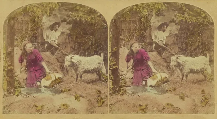 Framed Print : Met a Tartar (Papa's Dinner Gone.), 1876. Creator: L. Melander & Bro Framed Print : Met a Tartar (Papa's Dinner Gone.), 1876. Creator: L. Melander & Bro
