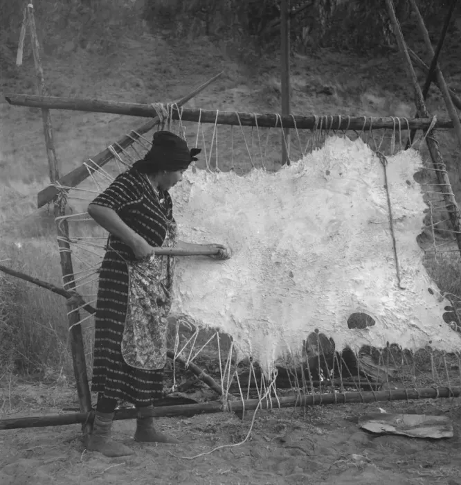 Framed Print : Method of scraping hide for softening, Indian fishing village, Oregon, 1939. Creator: Dorothea Lange Framed Print : Method of scraping hide for softening, Indian fishing village, Oregon, 1939. Creator: Dorothea Lange