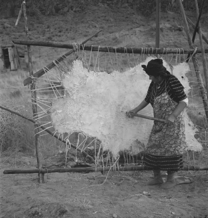 Framed Print : Method of scraping hide for softening, Indian fishing village, Oregon, 1939. Creator: Dorothea Lange