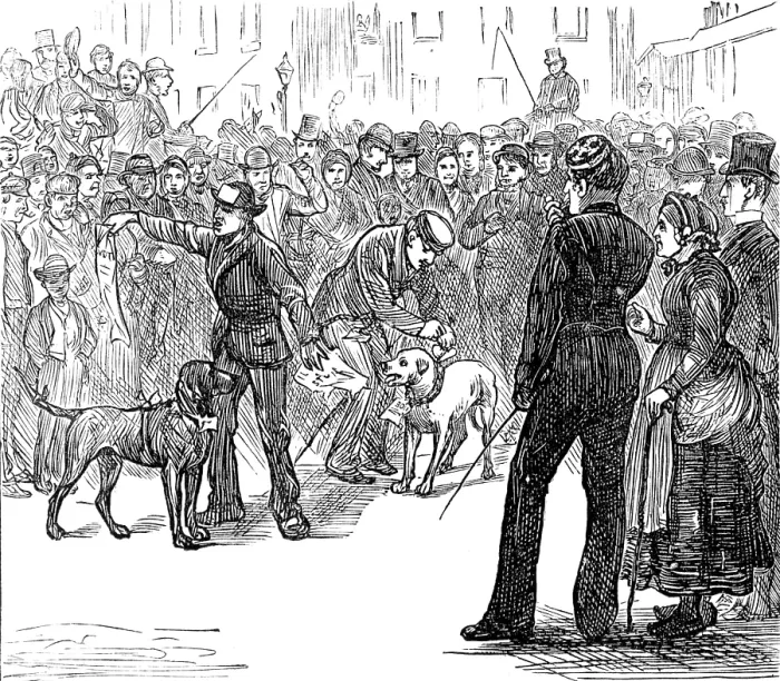 Framed Print : Metropolitan Boroughs election sketches: Whig and Tory, 1874. Creator: Unknown