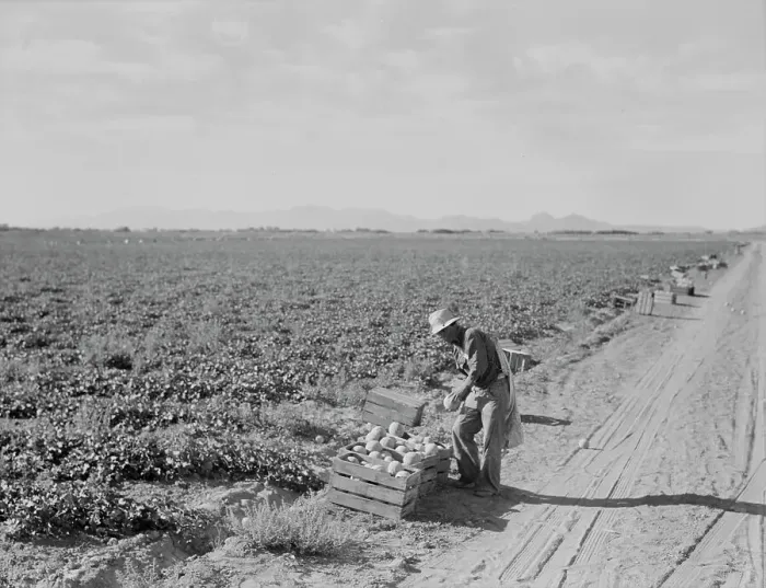 Framed Print : Mexican cantaloupe worker at 5:00 am, Imperial Valley, California, 1938. Creator: Dorothea Lange Framed Print : Mexican cantaloupe worker at 5:00 am, Imperial Valley, California, 1938. Creator: Dorothea Lange