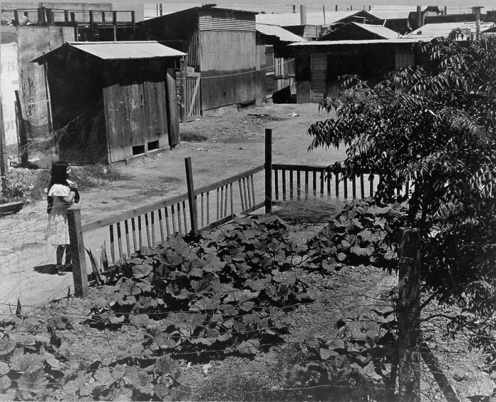 Framed Print : Mexican field laborers houses, Brawley, Imperial Valley, California, 1935. Creator: Dorothea Lange Framed Print : Mexican field laborers houses, Brawley, Imperial Valley, California, 1935. Creator: Dorothea Lange