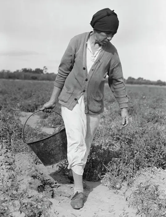 Framed Print : Mexican grandmother...harvesting tomatoes, Santa Clara Valley, California, 1938. Creator: Dorothea Lange Framed Print : Mexican grandmother...harvesting tomatoes, Santa Clara Valley, California, 1938. Creator: Dorothea Lange