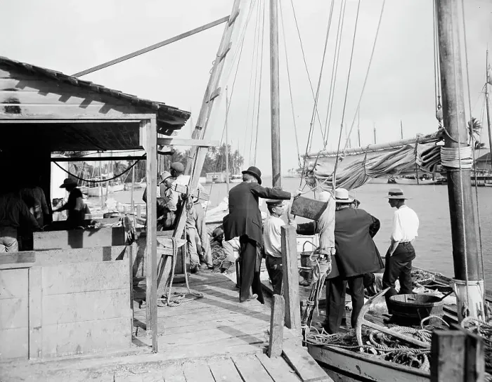 Framed Print : Miami, Fla. fish docks along the Miami, between 1900 and 1920. Creator: Unknown Framed Print : Miami, Fla. fish docks along the Miami, between 1900 and 1920. Creator: Unknown