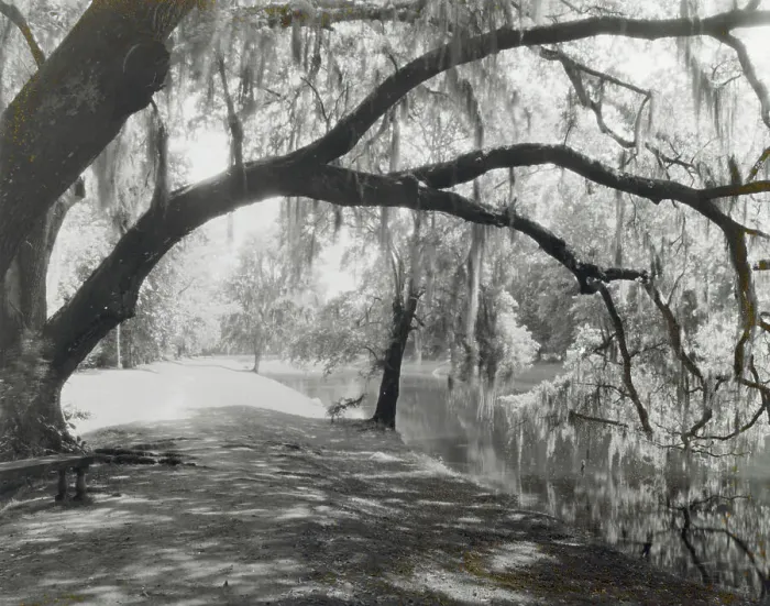 Framed Print : Middleton Place, John Julius Pringle Smith house, 4300 Ashley River Road, Charleston, 1928. Creator: Frances Benjamin Johnston. Middleton Place, John Julius Pringle Smith house, 4300 Ashley River Road, Charleston, 1928 Framed Print : Middleton Place, John Julius Pringle Smith house, 4300 Ashley River Road, Charleston, 1928. Creator: Frances Benjamin Johnston. Middleton Place, John Julius Pringle Smith house, 4300 Ashley River Road, Charleston, 1928