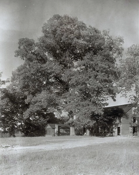 Midlothian Pike Minor Houses, Midlothian Pike, Chesterfield County, Virginia, 1933. Creator: Frances Benjamin Johnston