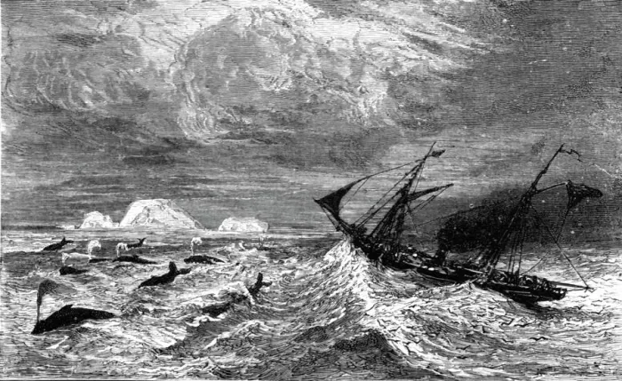 Framed Print : In the midst of Leviathan. ; A Boat adventure in the Behrings Sea, 1875. Creator: Unknown Framed Print : In the midst of Leviathan. ; A Boat adventure in the Behrings Sea, 1875. Creator: Unknown