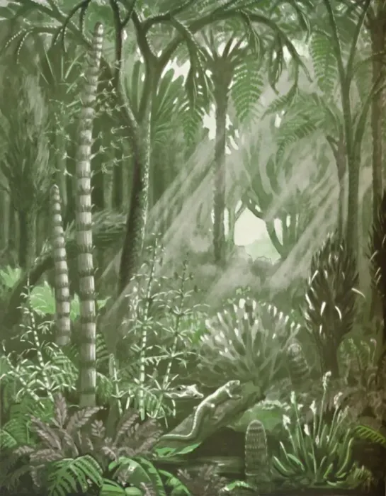 Framed Print : What the Mighty Coal Forests Were Like, 1935