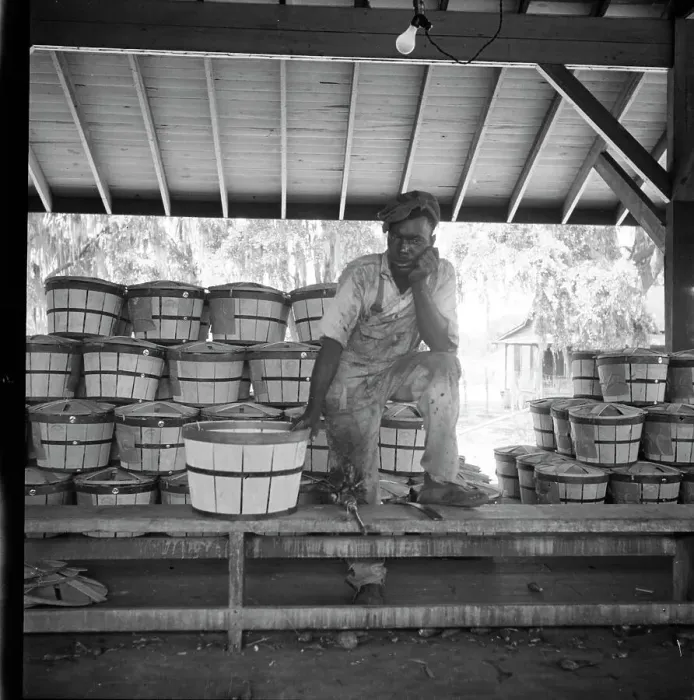 Framed Print : Migrant shed worker, Northeast Florida, 1936. Creator: Dorothea Lange Framed Print : Migrant shed worker, Northeast Florida, 1936. Creator: Dorothea Lange