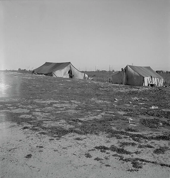 Migrants tents...the right of way of the Southern Pacific, near Fresno, California, 1939. Creator: Dorothea Lange