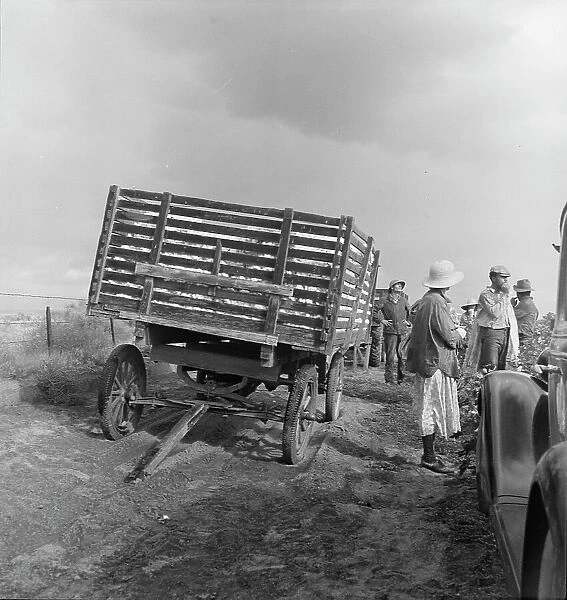 Migratory cotton pickers have stopped working because it started to rain, Kern County, CA, 1938. Creator: Dorothea Lange