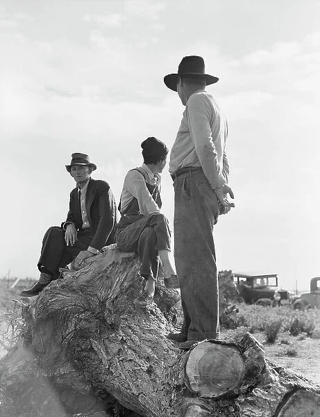 Migratory laborers, near Shafter, California, 1938. Creator: Dorothea Lange