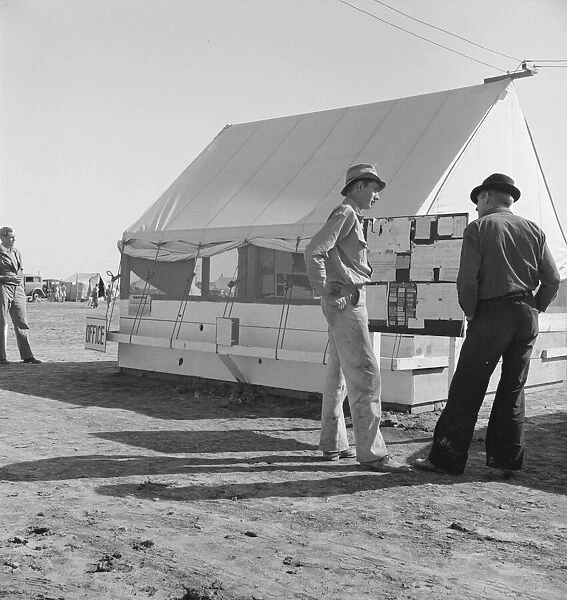 Migratory workers, pea harvest, FSA migratory labor... Calipatria, Imperial County, 1939. Creator: Dorothea Lange