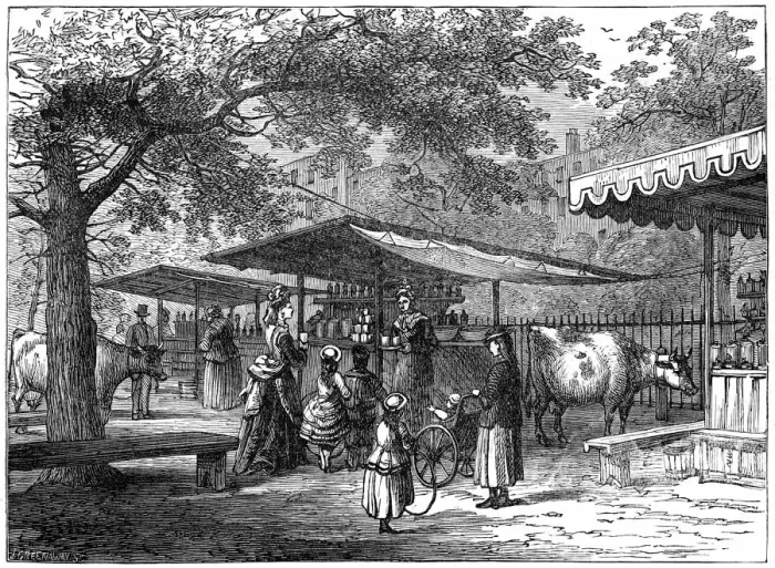 Framed Print : A milk fair, St Jamess Park, London, 1891. Artist: J Greenaway