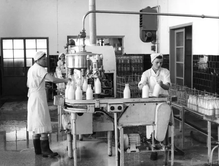 Framed Print : Milk production, Zagreb, Yugoslavia, 1952 Framed Print : Milk production, Zagreb, Yugoslavia, 1952