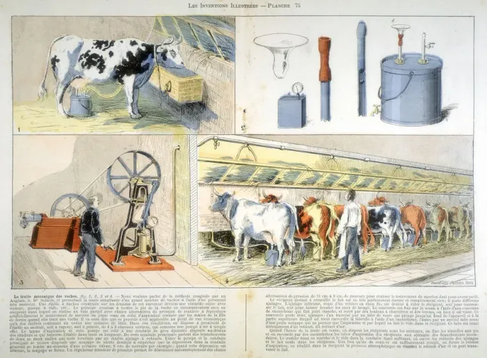 Framed Print : Milking parlour equipped with Thistle suction and pulsation milking machine, 1899 Framed Print : Milking parlour equipped with Thistle suction and pulsation milking machine, 1899