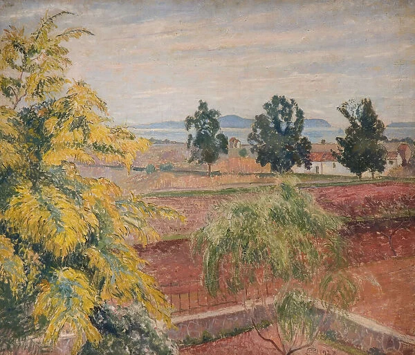 Mimosa Lavendou, 1923. Creator: Lucien Pissarro