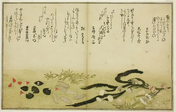 Framed Print : Minashi-gai, shio-gai, katatsu-gai, miso-gai, chijimi-gai, and chigusa-gai, from the illus... 1789. Creator: Kitagawa Utamaro Framed Print : Minashi-gai, shio-gai, katatsu-gai, miso-gai, chijimi-gai, and chigusa-gai, from the illus... 1789. Creator: Kitagawa Utamaro