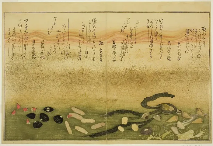 Framed Print : Minashi-gai, shio-gai, katatsu-gai, miso-gai, chijimi-gai, and chigusa-gai, from the illus... 1789. Creator: Kitagawa Utamaro Framed Print : Minashi-gai, shio-gai, katatsu-gai, miso-gai, chijimi-gai, and chigusa-gai, from the illus... 1789. Creator: Kitagawa Utamaro