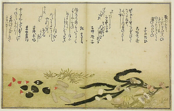 Minashi-gai, shio-gai, katatsu-gai, miso-gai, chijimi-gai, and chigusa-gai, from the illus... 1789. Creator: Kitagawa Utamaro