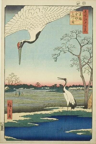 Minowa, Kanasugi, Mikawashima, from the series 'One Hundred Famous Views of Edo