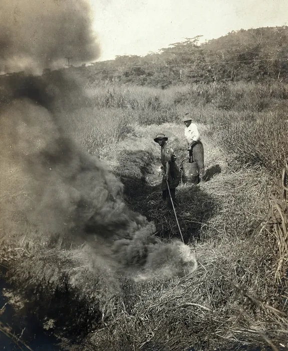 Framed Print : Miraflores, the Panama Canal Zone: rising smoke as two West Indian men burn grass away... 1910. Creator: Unknown Framed Print : Miraflores, the Panama Canal Zone: rising smoke as two West Indian men burn grass away... 1910. Creator: Unknown