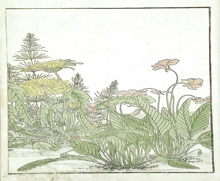 Framed Print : A Mirror of Competing Beauties of the Green Houses (image 20 of 20), 1776. Creators: Shunsho, Kitao Shigemasa Framed Print : A Mirror of Competing Beauties of the Green Houses (image 20 of 20), 1776. Creators: Shunsho, Kitao Shigemasa