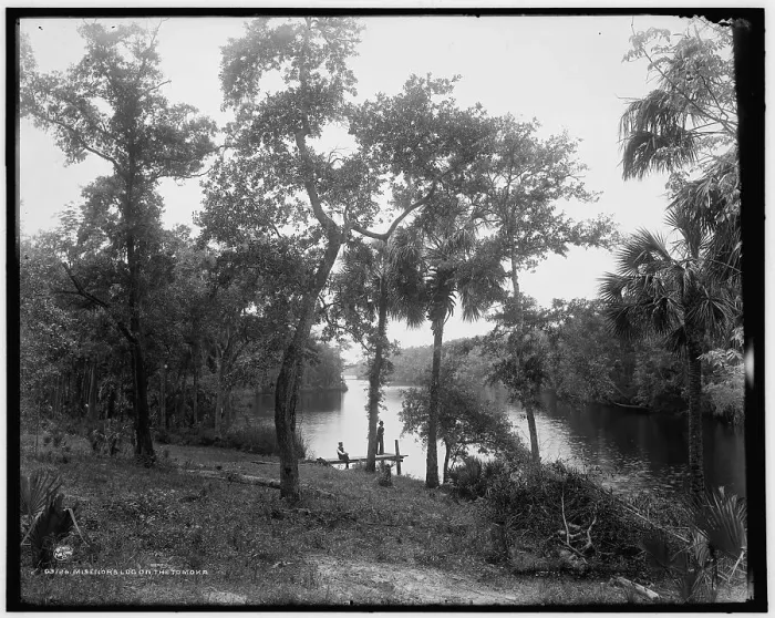 Framed Print : Misenor's Ldg. on the Tomoka, c1894. Creator: William H. Jackson Framed Print : Misenor's Ldg. on the Tomoka, c1894. Creator: William H. Jackson