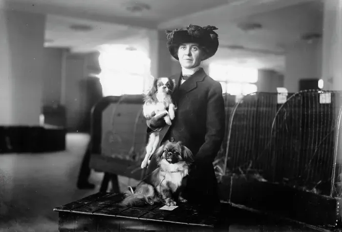 Framed Print : Miss M.A. Stovall with pets, between c1910 and c1915. Creator: Bain News Service Framed Print : Miss M.A. Stovall with pets, between c1910 and c1915. Creator: Bain News Service