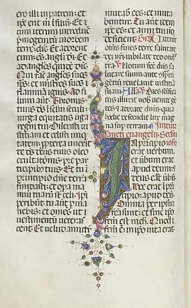 Missale: Fol. 22v: Foliage with Fish, 1469. Creator: Bartolommeo Caporali (Italian, c