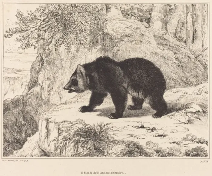 Framed Print : Mississippi Bear, 1836. Creator: Antoine-Louis Barye Framed Print : Mississippi Bear, 1836. Creator: Antoine-Louis Barye