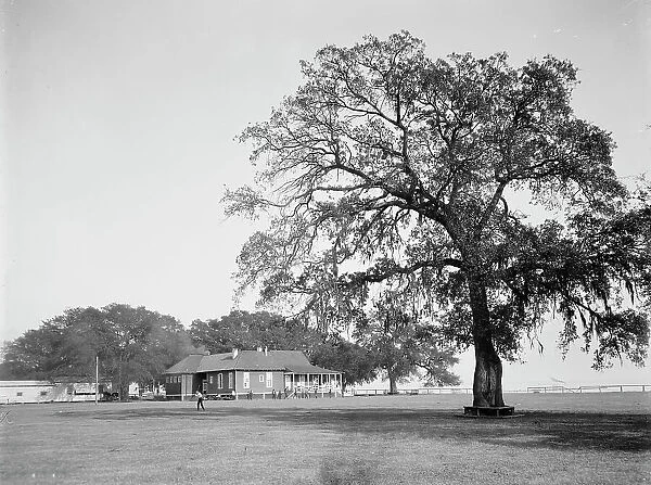 Mobile Country Club, Mobile, Ala. between 1900 and 1906. Creator: Unknown