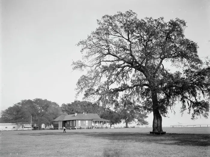 Framed Print : Mobile Country Club, Mobile, Ala. between 1900 and 1906. Creator: Unknown Framed Print : Mobile Country Club, Mobile, Ala. between 1900 and 1906. Creator: Unknown
