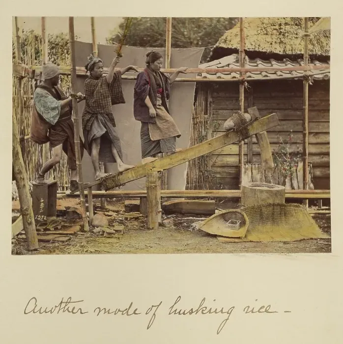 Framed Print : Another Mode of Husking Rice, about 1873-1883. Creator: Shinichi Suzuki I Framed Print : Another Mode of Husking Rice, about 1873-1883. Creator: Shinichi Suzuki I