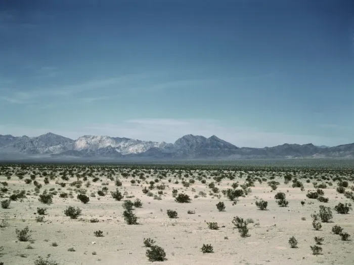 Framed Print : Mojave Desert country, crossed by the Santa Fe R. R. Cadiz, Calif. 1943. Creator: Jack Delano Framed Print : Mojave Desert country, crossed by the Santa Fe R. R. Cadiz, Calif. 1943. Creator: Jack Delano