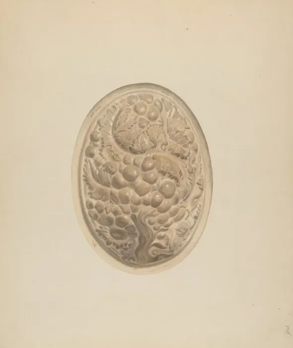 Framed Print : Mold, c. 1940. Creator: Roberta Spicer Framed Print : Mold, c. 1940. Creator: Roberta Spicer