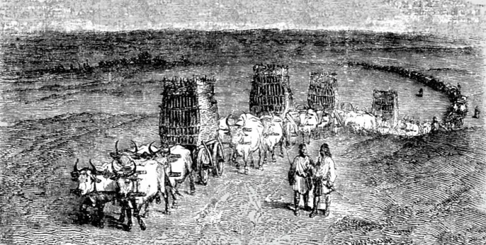 Framed Print : Moldavian Transport Wagons, 1854 Creator: Unknown Framed Print : Moldavian Transport Wagons, 1854 Creator: Unknown